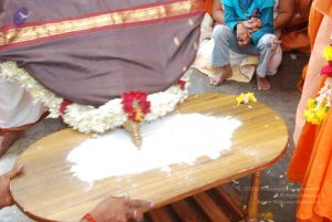 20100721 Photo 2392 1mRdn6bbsXpVeE8vIr4OHiqBvSkZIj80c.JPG