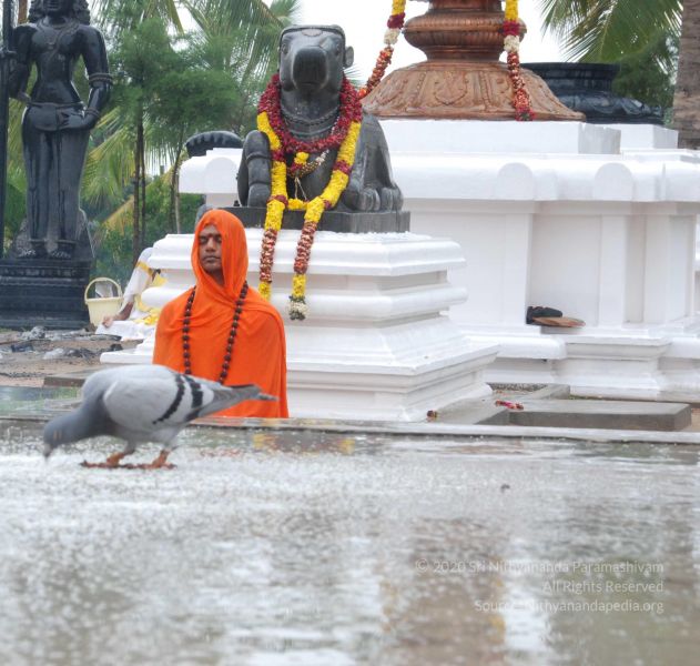 File:20100722 Photo 1076 1UxbyeCc9Pj0CN x9zAMvhtgVGIp28sSW.JPG