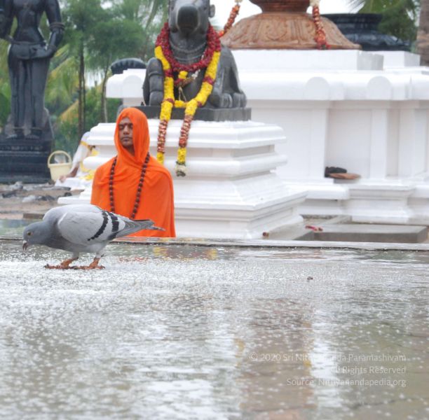 File:20100722 Photo 1077 15k20ISATpUbYUfApj08PRMU-2uGnVFGQ.JPG