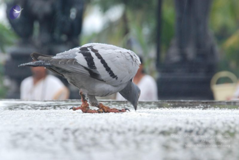 File:20100722 Photo 1084 1eHH7Q-BOOkA7IsIBEokcVzLEkmXPnq-g.JPG