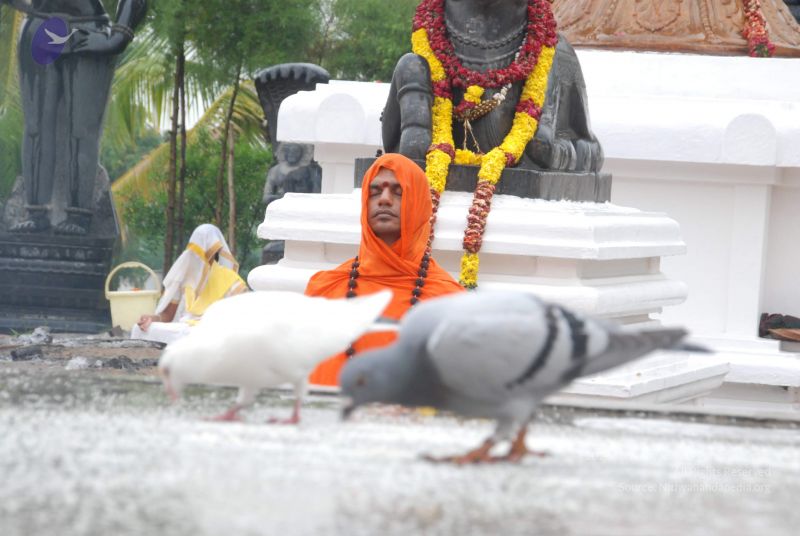 File:20100722 Photo 1092 1h1 -dK7a68gLmGJ5O4nNRObavrFi49YH.JPG