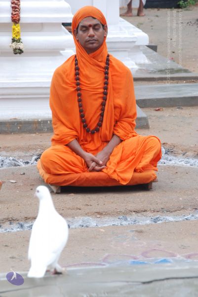 File:20100722 Photo 1101 17ZD2XbgCLXGv0HRwwkQAmB7pHmhv5CjY.JPG