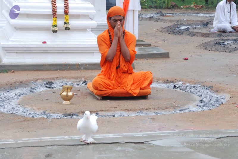 File:20100722 Photo 1104 1R52DLcfi6gKZ6TWNZBhhCf3BZG3gnedd.JPG