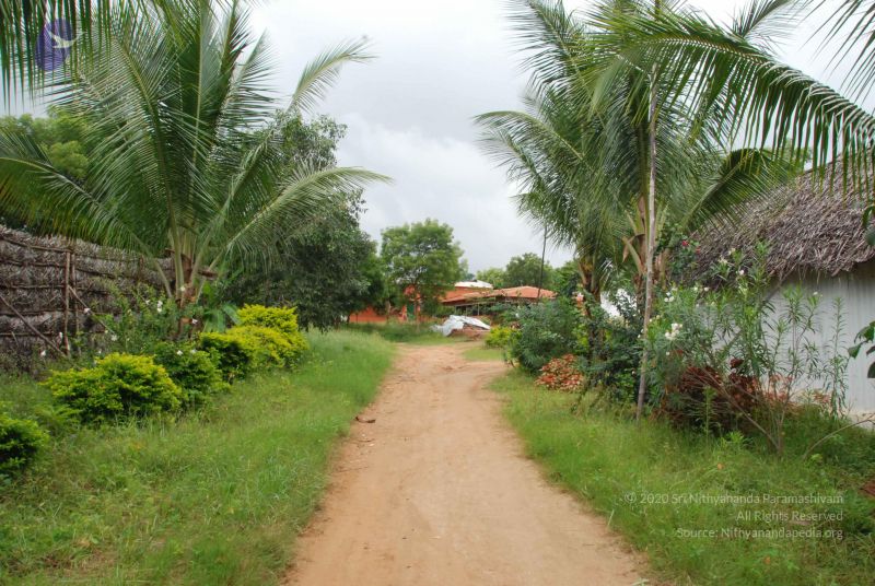 File:20100722 Photo 1385 137sAO1bSOvxNj4gL7L2Vau3OIFgtz1SO.JPG