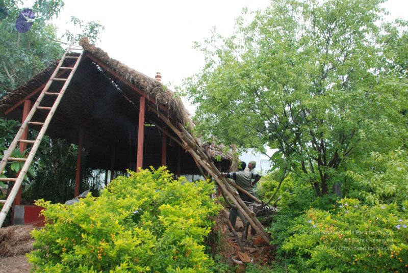 File:20100722 Photo 1394 1YfEIwDfkWU2kTRHt05OklYRu13Ap9gIh.JPG