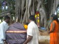 Thumbnail for version as of 01:26, 7 June 2021