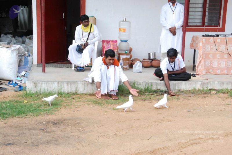 File:20100723 Photo 1285 1yuGWj hA80nqT C9nef05YTxN4kjid6V.JPG