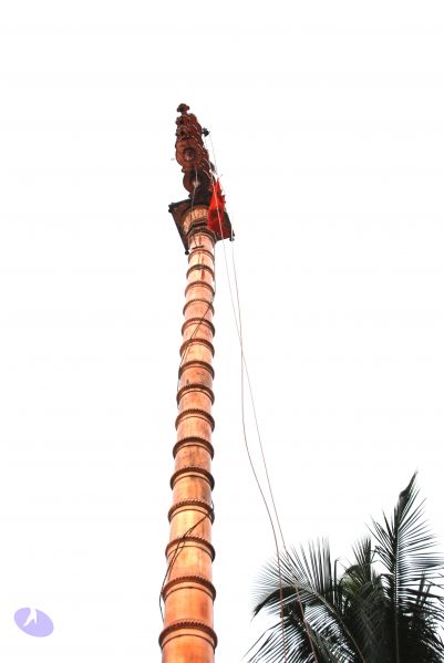 File:20100726 Photo 1025 1krmpNOJIEeCnpDmGd4R bBI3pn37kDQD.JPG