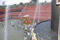 Thumbnail for version as of 00:31, 7 June 2021