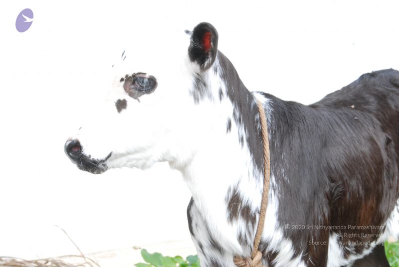 File:20100801 Photo 1137 1uoqtSWTP8mjTGOfc6GZ hUEajJR-eS4W.JPG