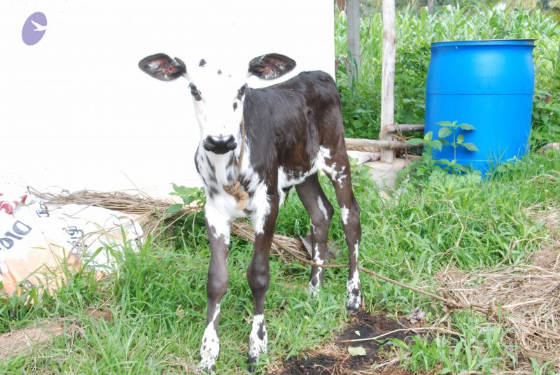 File:20100801 Photo 1138 14-3hLd8LTkRNFHbxaYN84AGybjtK9Whf.JPG