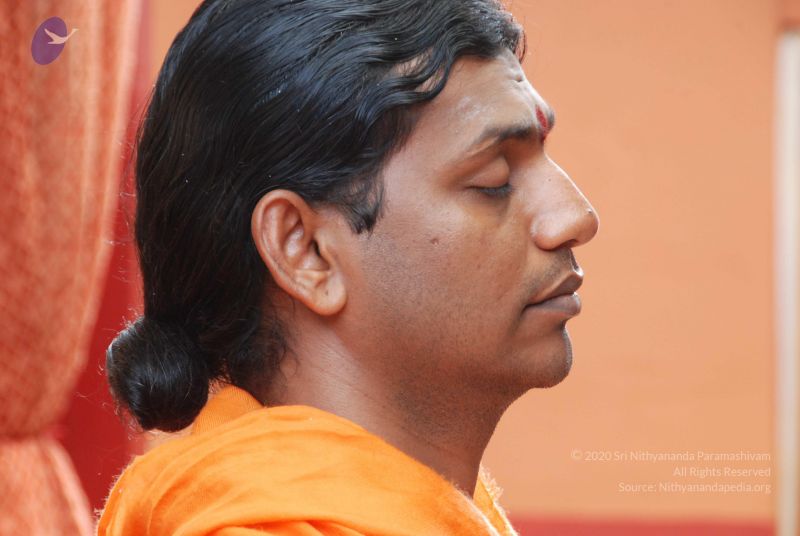 File:20100802 Photo 1099 1zRbjngAskPbfCS 1J5COVg0idkjI84CK.JPG