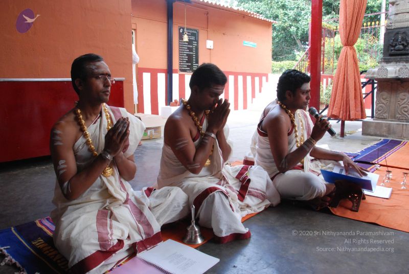 File:20100802 Photo 1110 14dMsUq5T-tdNtfvzyNWv-opeNDJ8PBn7.JPG