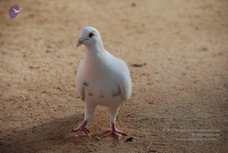 File:20100802 Photo 1220 1c1ph 5dRTmqoYqXnENpBaRyn4vSqi H1.JPG