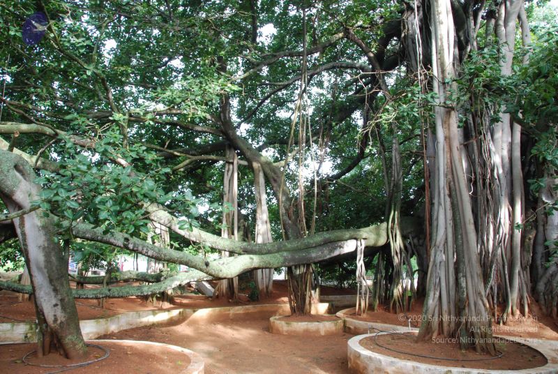 File:20100803 Photo 1012 1YPV6pOPIN7lus4S11QMAwB6dllj8D4eK.JPG