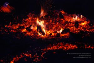 20100803 Photo 1028 1VQO3355-u6Smm ly6KhR5jzDp2BagC7y.JPG