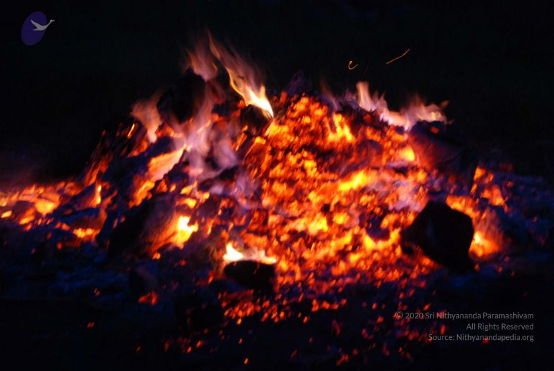 File:20100803 Photo 1034 1tf9yjOdGcIBAwlT01b971-A884W4NBe7.JPG