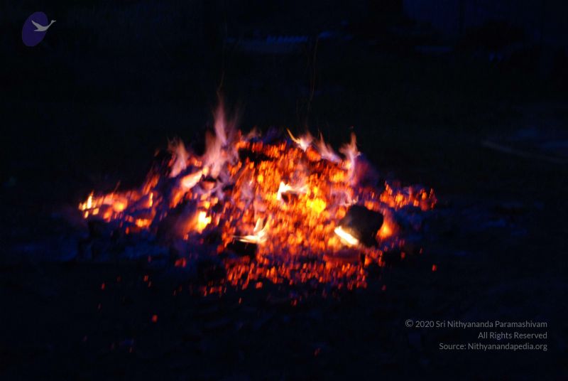 File:20100803 Photo 1036 1hN6s07jofZwKCgH3rXXJj4GTbHbOHasA.JPG