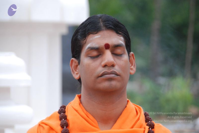 File:20100803 Photo 1058 1eElQC7njs-vWVUd YmSgXYG9PvU7WT6n.JPG