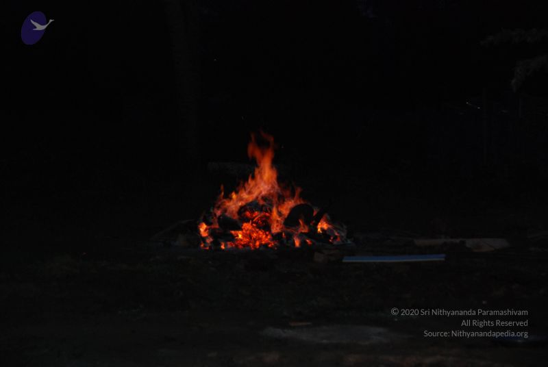 File:20100805 Photo 1000 1BOJRwwNwG769XBegbHyScs9WXDltLahz.JPG