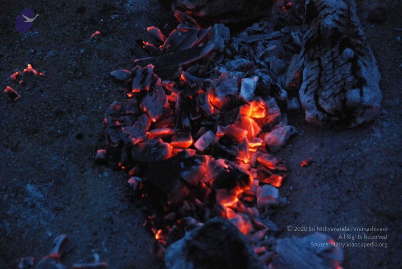 File:20100805 Photo 1001 1FbRhHRFeBF9C-jD1QhvEFJ0tfX1Akfa3.JPG