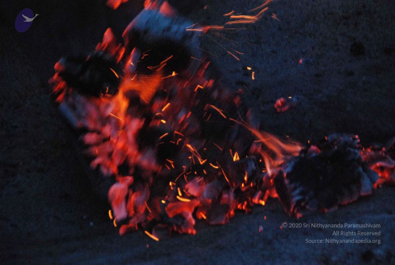 File:20100805 Photo 1003 1bngvx8SxX2VPrA724Zk-kbWBx0BcjQrw.JPG