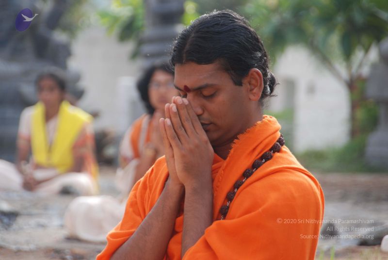 File:20100805 Photo 1034 1ghk-zTYgbK0DLOvcDB11uUxjpTD5hdoN.JPG