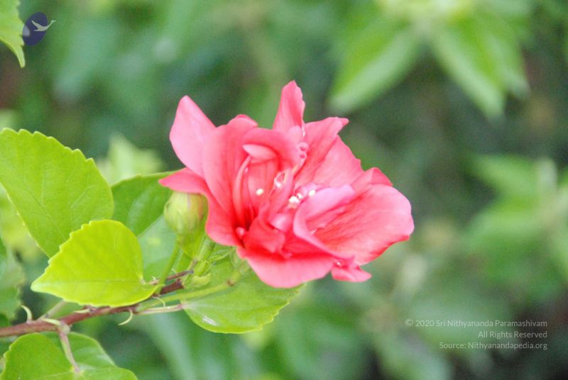 File:20100805 Photo 1037 1d7olnrjMD-EQEpZF aVDl8A23eOAE9gA.JPG