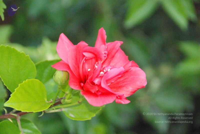 File:20100805 Photo 1038 1mbkL A10qnENrsd2f164WcfuYYfbEiYR.JPG