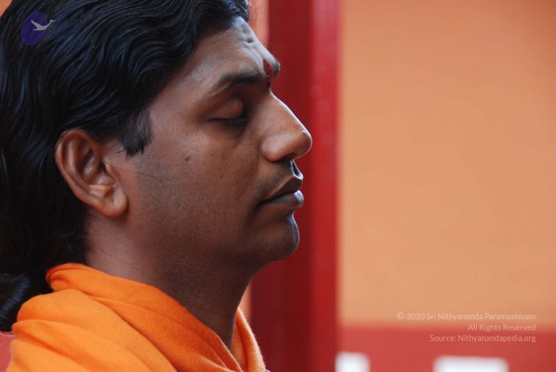 File:20100807 Photo 1009 1DcE9RbuQvRASsq3 K23peKwFBdUYyM3L.JPG