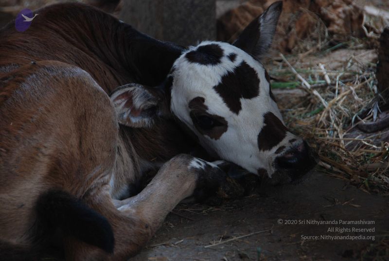 File:20100807 Photo 1060 1CmMAJ-iYNvKvFEEKTEjIFF1uclaT7nzN.JPG