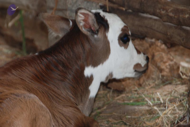 File:20100807 Photo 1062 1drqg45HglFdy Qj0Yg0ypV9jTTQrvnnh.JPG