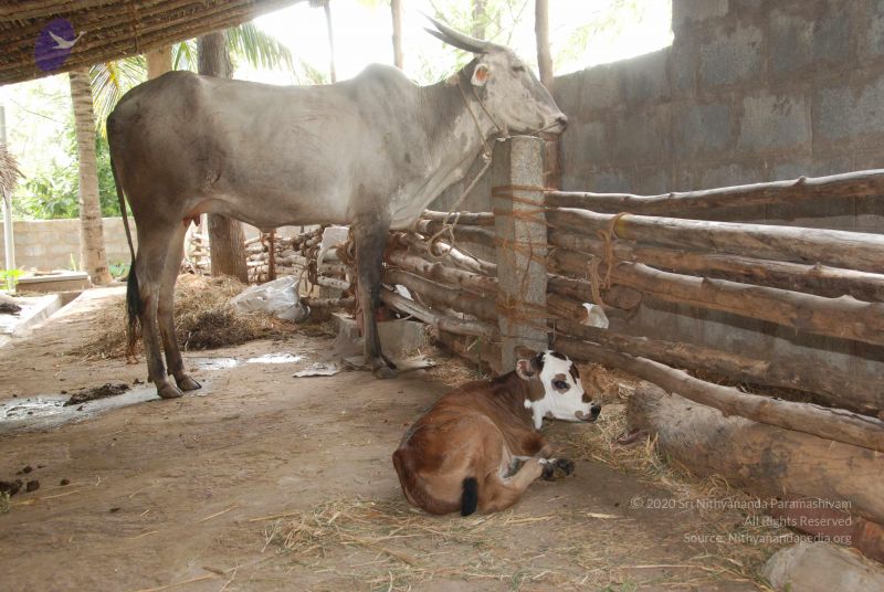 File:20100807 Photo 1064 1Gf41zDkaGbqApxvUC0GT6vJ8z3H1KkRu.JPG