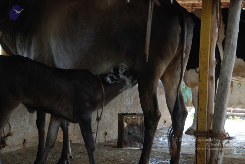 File:20100807 Photo 1065 1jt5o90ZfyZc4SBxaghHjjiEQyoquqsuN.JPG