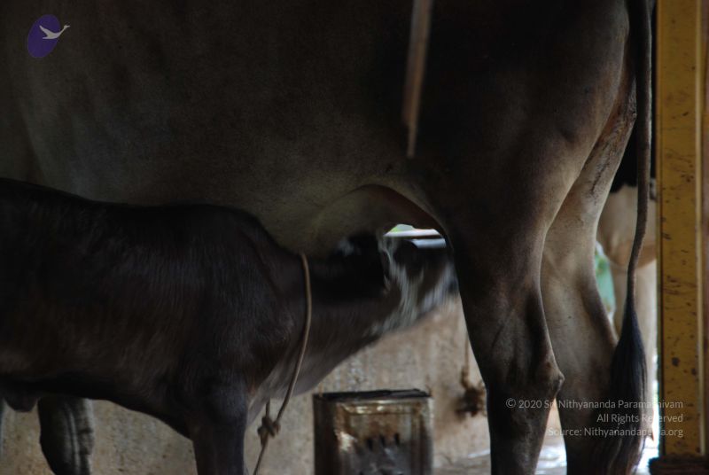 File:20100807 Photo 1066 1owrBlhWxMiuNAH2985bpj9W7u5ZeZnXt.JPG