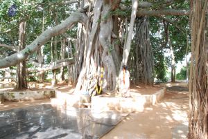 20100807 Photo 1067 1lxGVi4DC-i4ZN9vKkp TVOLdfoSd435C.JPG