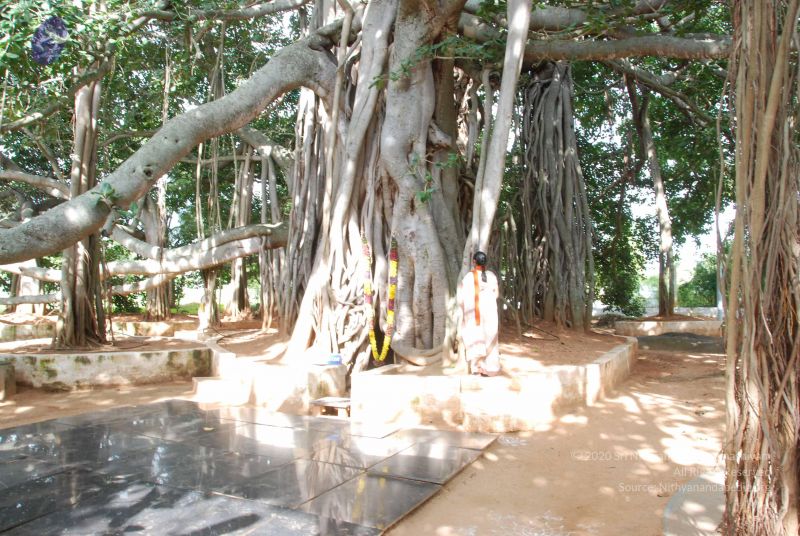 File:20100807 Photo 1067 1lxGVi4DC-i4ZN9vKkp TVOLdfoSd435C.JPG