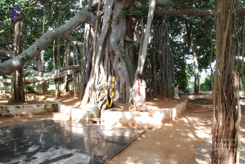 File:20100807 Photo 1069 1Q2g7BTRlwDvJ040huqml3b5DOs0pVjo .JPG