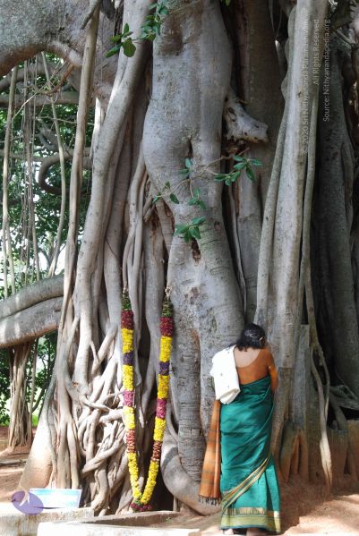 File:20100807 Photo 1077 1DgDE QJNZa6imvuRNtytY7tLMNi0Wspe.JPG