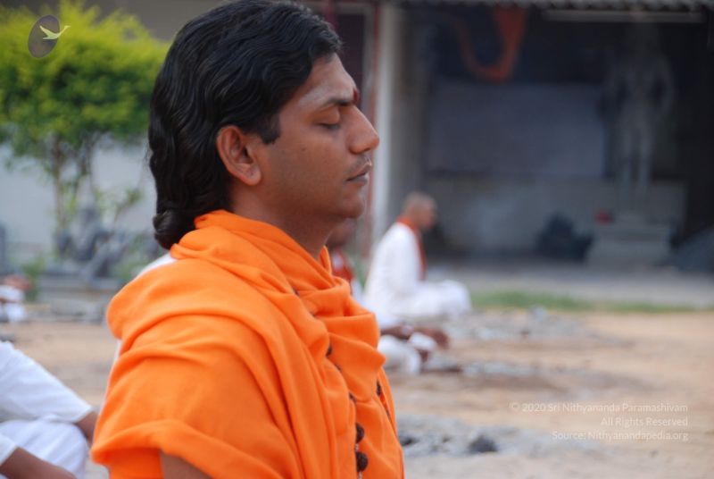 File:20100807 Photo 1246 1oQuFk8f3AWtrxBR ep4vGygD2Gz1cAc0.JPG