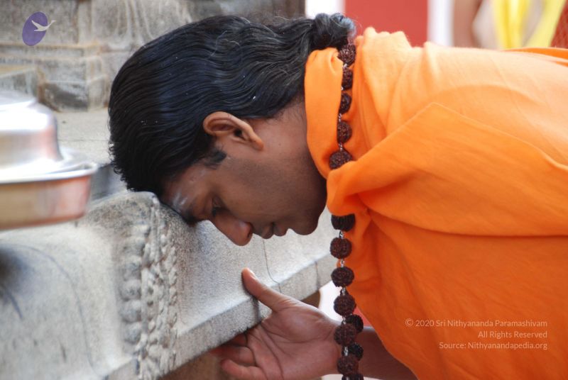 File:20100807 Photo 1277 1GH0NwRviToZnqt4s5j83MjMDJhPnystN.JPG