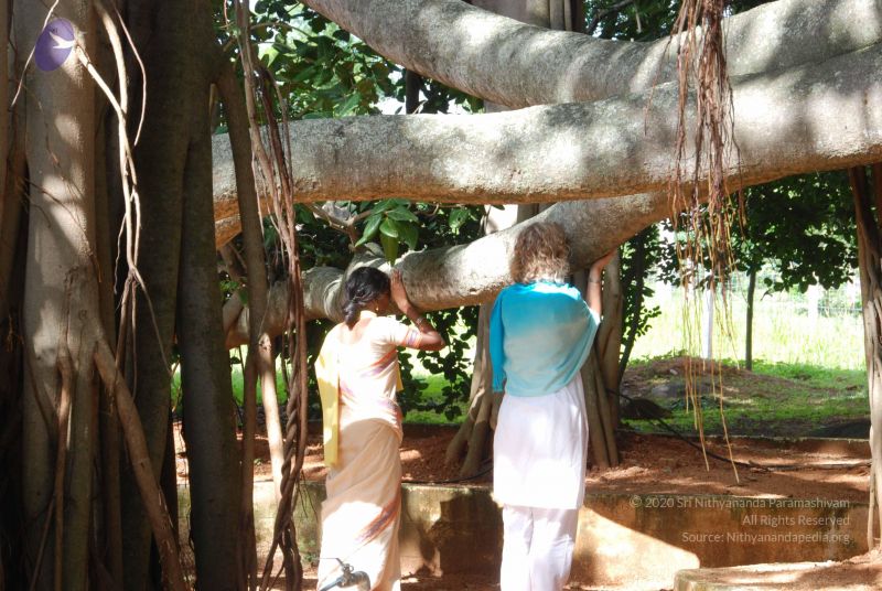 File:20100808 Photo 1123 18yL2pL0d1OmGHUSx9V60IDhMqXI30 l1.JPG