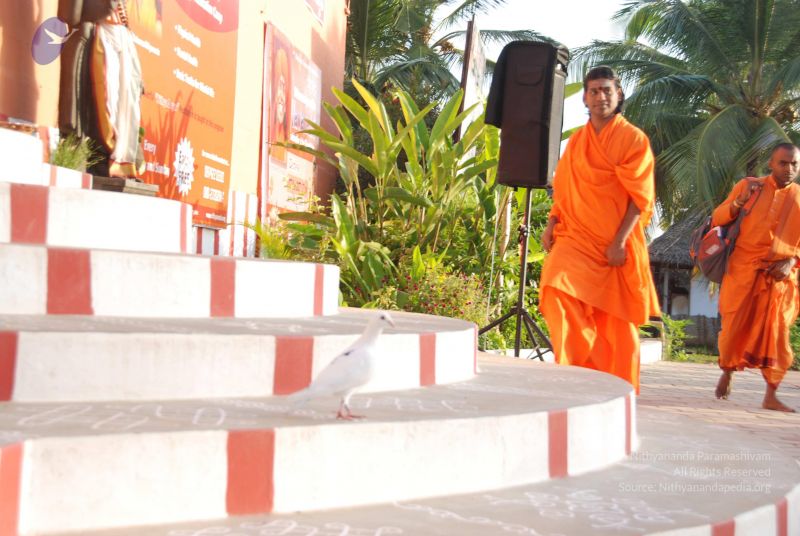 File:20100808 Photo 1163 1ffUH92vn3jqjFhtMyKxqNzV-X Jg52v .JPG
