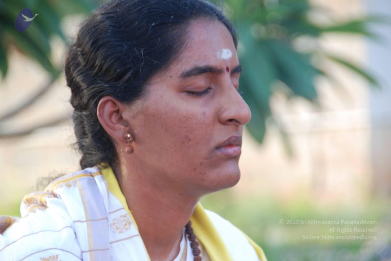 File:20100808 Photo 1367 11ueofUhm3r5CSMZtBQZiivXTaCp879O1.JPG