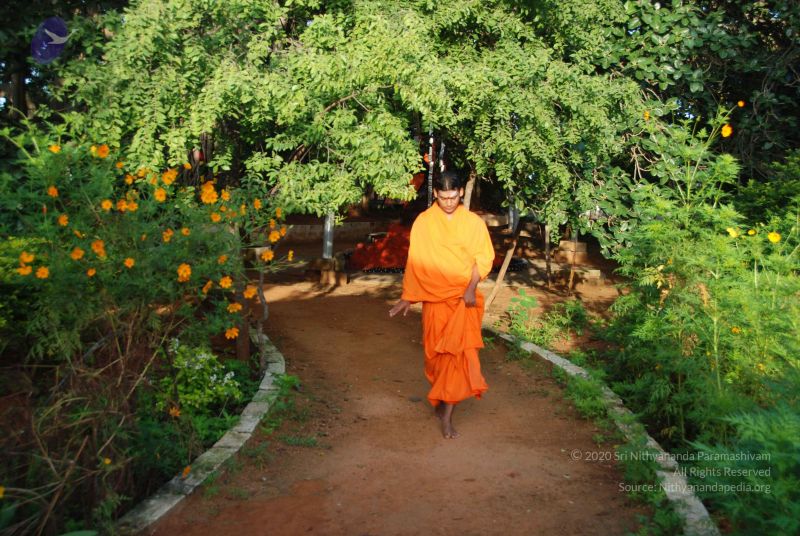 File:20100808 Photo 1377 1VpEjHo2SJgXNJvPuhNAUj4k3NQOIK-SO.JPG