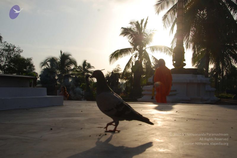 File:20100808 Photo 1388 1HtxUrfJPxdftw1IpvvTLhjA5NQllACjs.JPG