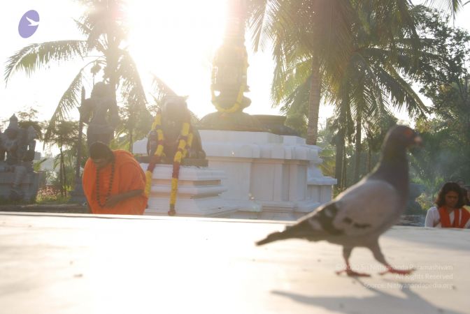 20100808 Photo 1391 1Gb3ouU4mw5sKOSZPJi30bHm-kVU0Fm-e.JPG