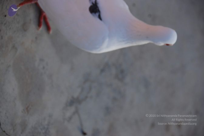 20100808 Photo 1403 1UKCK33edwmSz7UF6ZQAvcxJEojg649DB.JPG