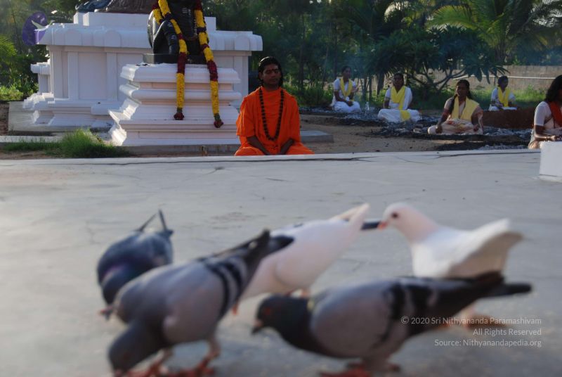 File:20100808 Photo 1410 1agR4YNdFZ00tPsbHui0uBqcK7nMa0lgE.JPG
