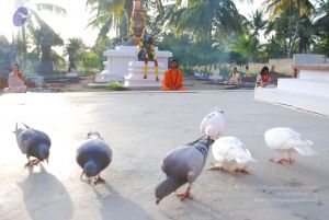20100808 Photo 1413 1RD1-LDkrBYgXfkAqqCMpWaj x1Q-07P8.JPG